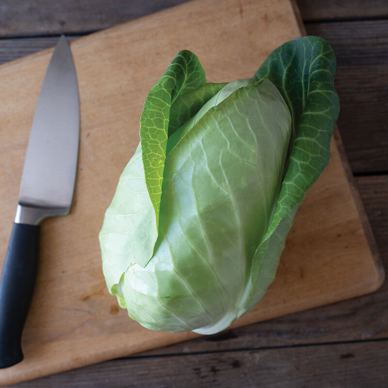 Piccadilly – Cabbage Seed